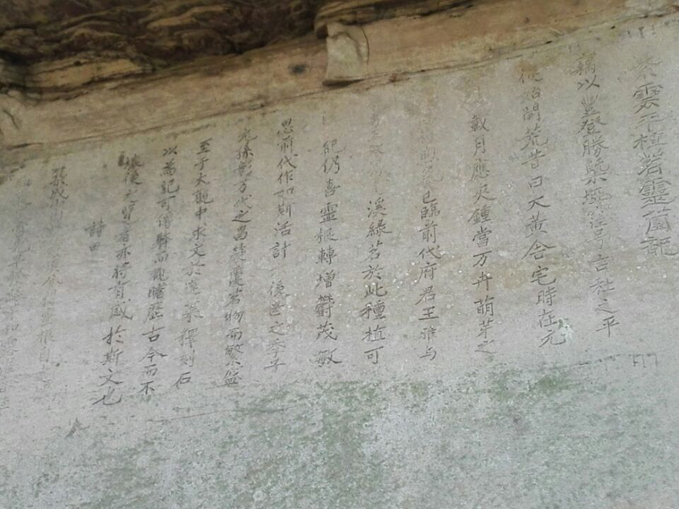 最早茶树苗移植石质文献——《紫云坪植茗灵园记》岩刻